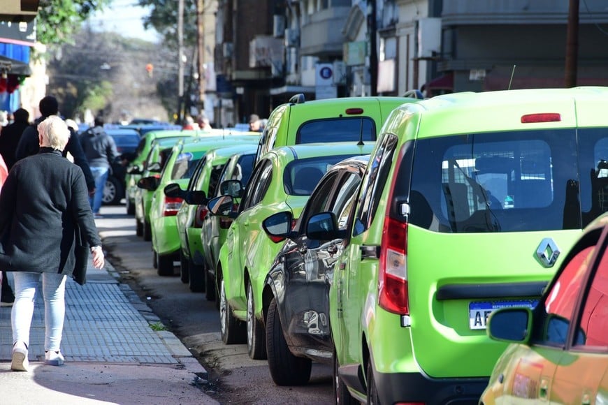 Taxistas y remiseros también pueden ser choferes de apps. Foto: Archivo Guillermo Di Salvatore