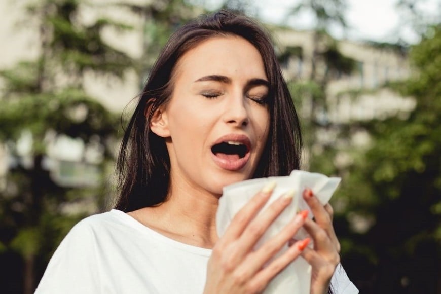 ¿Alergia o resfrío? Las diferencias que conviene conocer