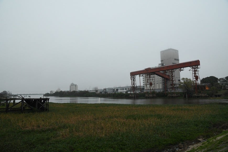 Neblina temprano, mejor tiempo durante el día Créditos: Flavio Raina