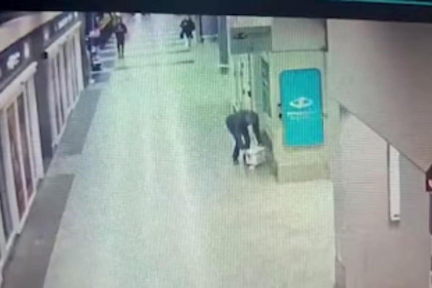 La conservadora fue hallada cerca de un cantero de Activos Nacionales.