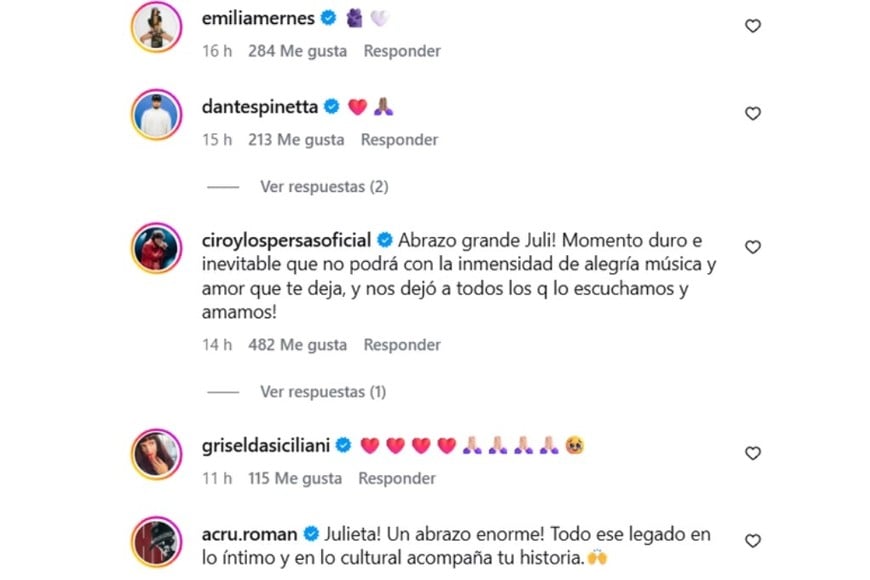 Los mensajes de apoyo que recibió en la publicación.