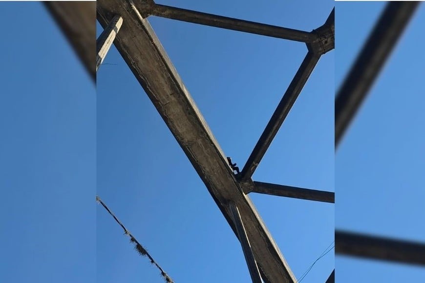 loco puente carretero