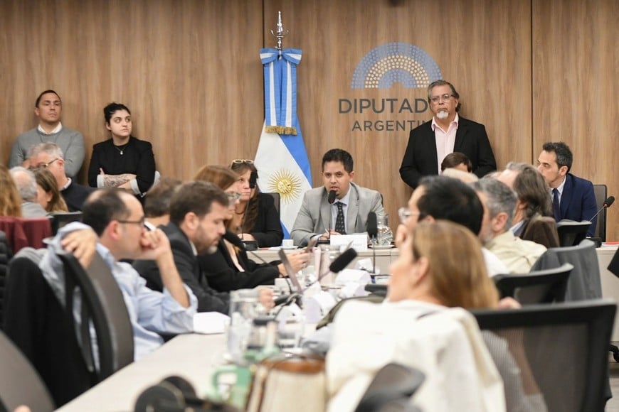 Reunión de la comisión de Finanzas de la Cámara de Diputados.
HCDN