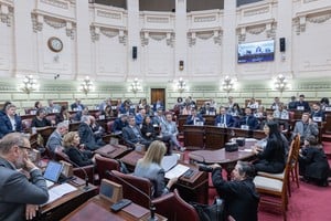La Asamblea Legislativa ha aprobado los pliegos de once candidatos para el Ministerio Público de la Acusación, así como para un juez penal en Venado Tuerto. Foto: Senado de Santa Fe.