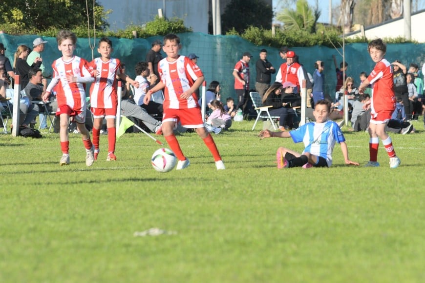 El Torneo Diego Barisone 2023 comenzó en el predio CIFFU de Santa Fe, convocando a equipos infantiles de la región para vivir una fiesta del fútbol. Fotos: Manuel Fabatía.