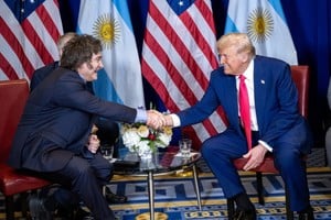 El tema Malvinas en la actualidad. El presidente Javier Milei, su par estadounidense Donald Trump y la buena voluntad de las potencias.