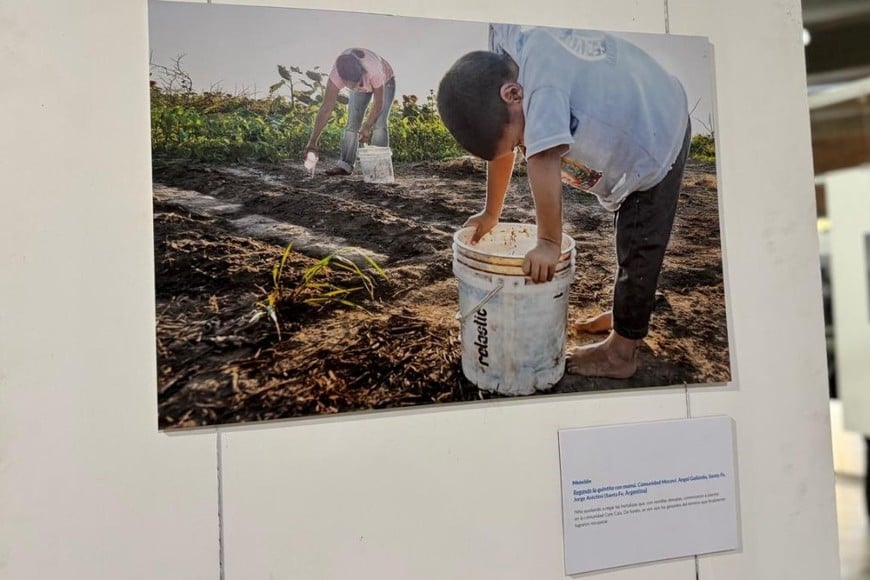 Inauguraron la muestra del XVI Concurso "El agua en imágenes"