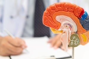 La norma crea un programa que procura detectar los Accidentes Cerebro Vasculares a tiempo