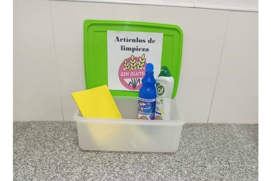 El trabajo abordó la situación institucional concreta, los estudios académicos y y las normativas vigentes establecidas por Assal y Anmat.
