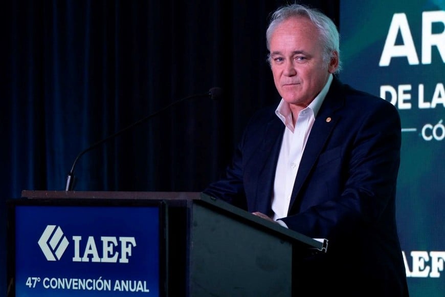 Vladimir Werning, vicepresidente del BCRA.