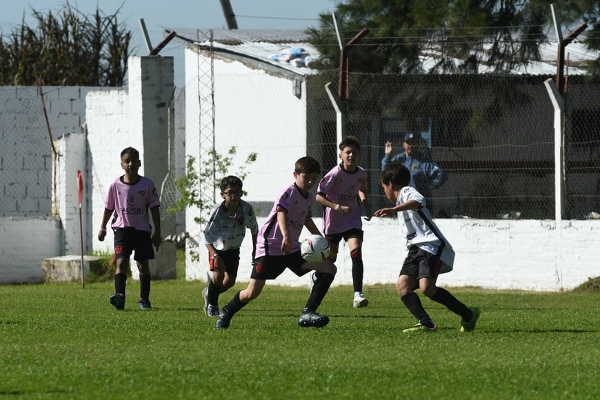 Torneo Internacional de Fútbol Infantil "Diego Barisone". Crédito: Flavio Raina