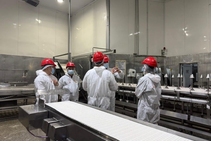 Recorrida por industrias de la zona.