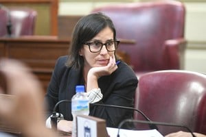 La diputada provincial Ximena Sola.
