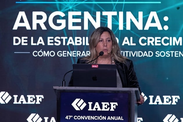 Falcone habla de "Generación Silver". Un segmento decisivo en la economía global.