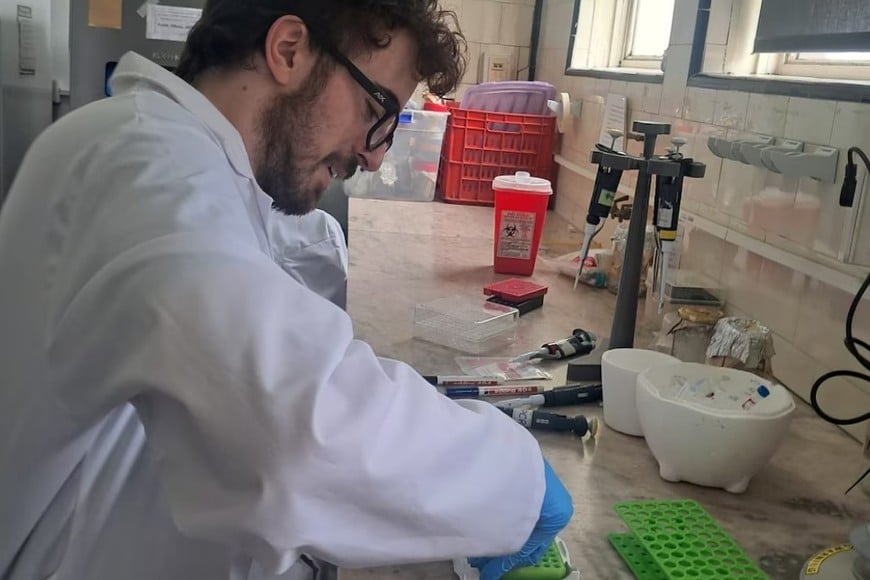 El joven es becario doctoral del CONICET y docente.