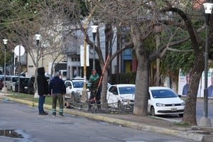 Con estas herramientas, se priorizará el arbolado público de la ciudad. Archivo Mauricio Garín
