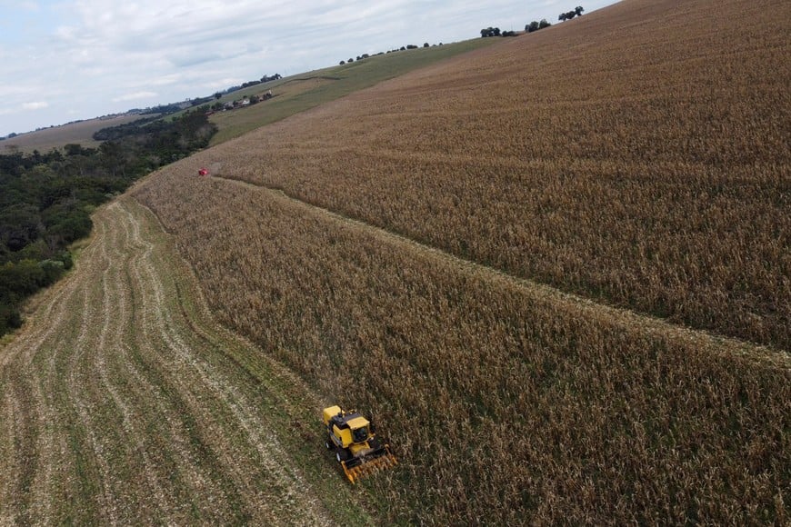 FILE PHOTO: A farmer uses a machine to collect corn at a plantation in Maringa, Brazil, July 13, 2022. REUTERS/Rodolfo Buhrer/File Photo
