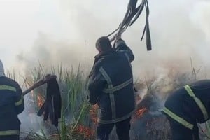 Casi 80 hectáreas de vegetación y terrenos rurales fueron afectadas por distintos incendios