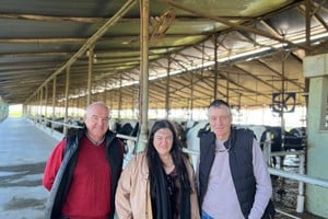 El entramado productivo santafesino es uno de los motores más importantes de la economía provincial y nacional.