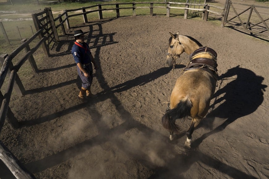 (210313) -- CAPILLA DEL SEÑOR, 13 marzo, 2021 (Xinhua) -- Imagen del 12 de marzo de 2021 de Leonardo González, domador y adiestrador del centro de entrenamiento equino "El Comentario", realizando un trabajo de "atado a la cola" de un caballo criollo en un corral del predio, en la localidad de Capilla del Señor, Argentina. Un centro familiar de entrenamiento ubicado en la localidad argentina de Capilla del Señor, en el noreste de la provincia de Buenos Aires, mantiene vivo el histórico vínculo del gaucho de las pampas con el caballo criollo, noble animal que acompaña la labor diaria en el campo y que también participa de tradicionales competencias de destreza y elegancia. (Xinhua/Martín Zabala) (mz) (da) (ra) (dp)