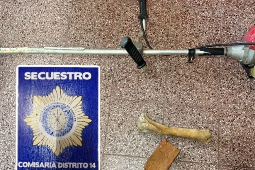 incidentes detenidos san josé del rincón