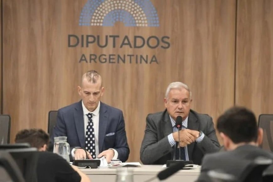 farias diputados pymes