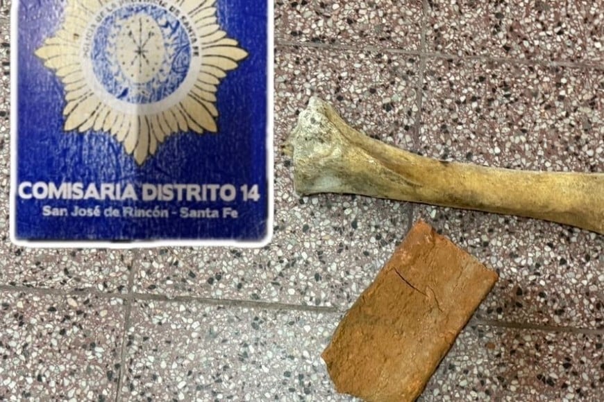 incidentes detenidos san josé del rincón