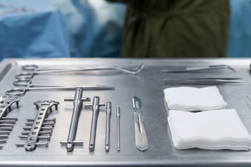 Tornillos implantables identificados como “BIO ASIST - IMPLANTS”