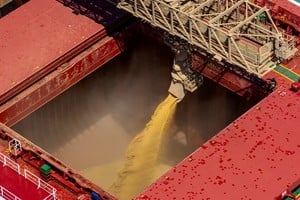 FILE PHOTO: A drone view shows a bulk carrier being loaded with soybeans at the port of Paranagua, Parana, Brazil, March 28, 2026. REUTERS/Rodolfo Buhrer/File Photo
