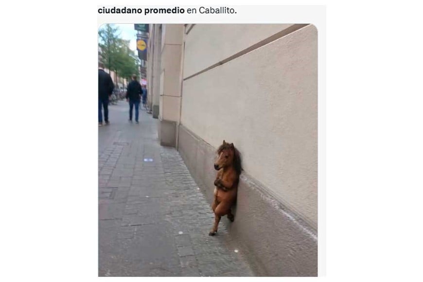 Un pequeño equino, para el barrio porteño.