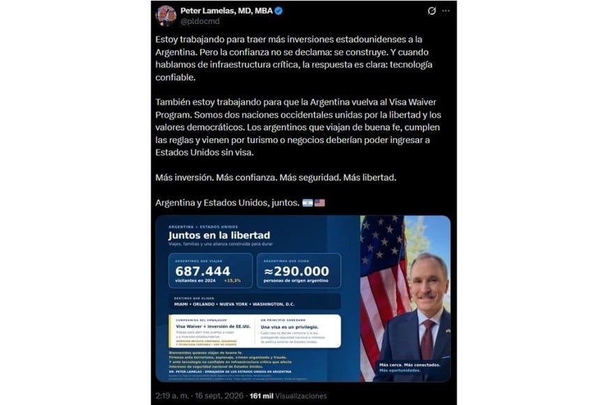 El posteo de Lamelas en X.
