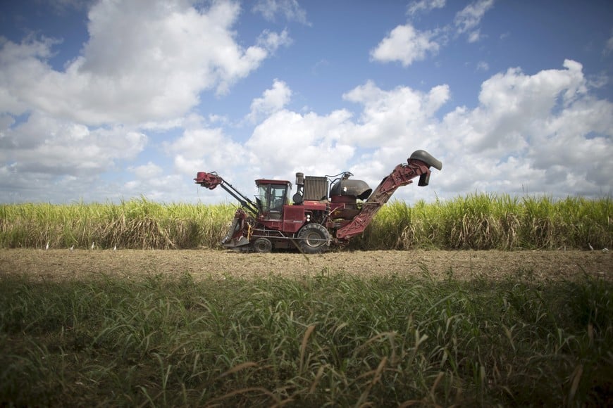 A sugar cane harvester is seen at a sugar cane field in Candelaria, Cuba, in this March 3, 2015 file photo. The worst drought in a century has damaged Cuban sugar cane set for harvesting in the coming months, though recent rainfall means output could still top the previous harvest, the president of the state-run sugar monopoly AZCUBA said on October 6, 2015. Cuba produced 1.9 million tonnes of raw sugar during the 2014-15 harvest, 18 percent more than the previous one, and said earlier this year it expected similar growth in the 2015-16 season, which begins in November and stretches into May. REUTERS/Alexandre Meneghini/Files cuba candelaria cuba campo plantacion de caña de azucar cosecha maquinas cosechadoras