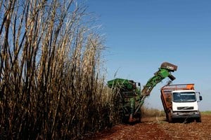 La cuota azucarera argentina a Estados Unidos suma nuevas toneladas para el ciclo 2026/2027