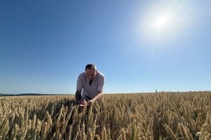 En Argentina las expectativas sobre la actividad ganadera y el valor de la tierra también son más favorables.