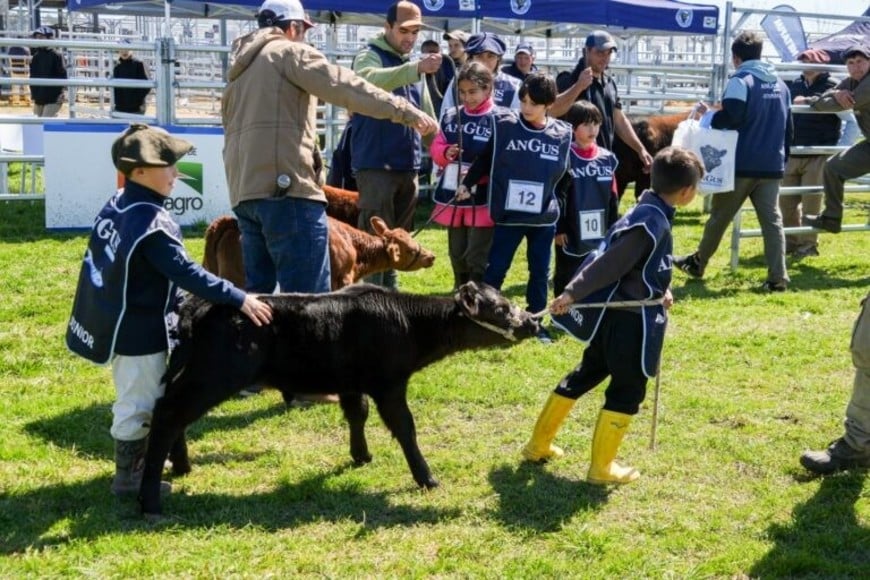 La expectativa también estará puesta en la pista y en la performance de los jurados