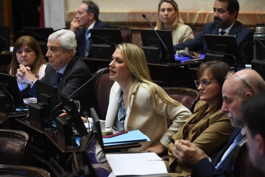 El Senado de la Nación aprobó la propuesta santafesina. Crédito: Municipalidad