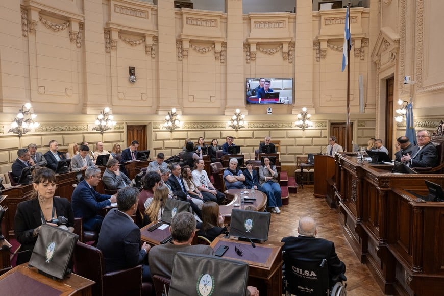 Los homenajes de este jueves en el Senado de Santa Fe. Crédito: Prensa Legislatura