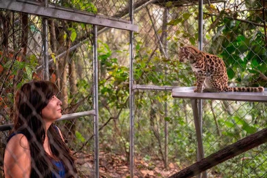 La investigadora. Fernando Faciole/National Geographic