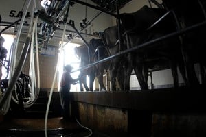 Economía reconoce que varios cupos no se completan y adopta el criterio de “primero llegado, primero servido” para facilitar su utilización. Foto: REUTERS / Enrique Marcarian.