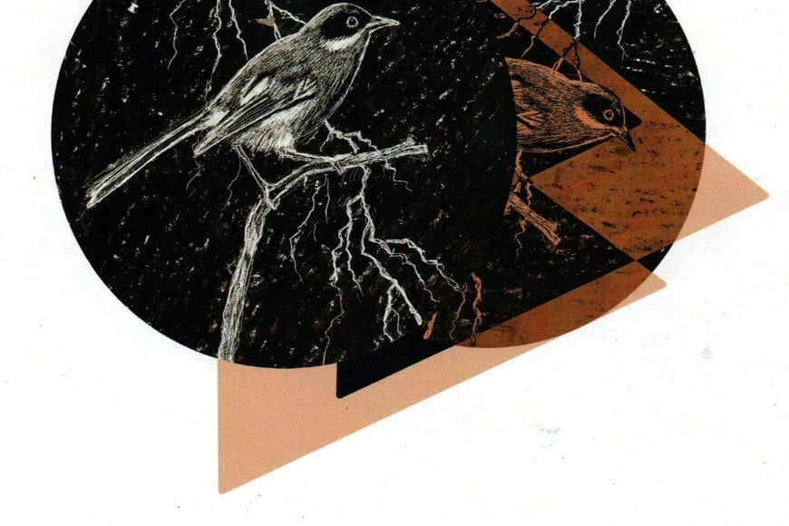 Portada del libro de Gonzalo Acosta Tito.
