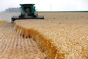 FILE PHOTO: A combine drives over stalks of soft red winter wheat during the harvest on a farm in Dixon, Illinois, July 16, 2013. REUTERS/Jim Young/File Photo/File Photo