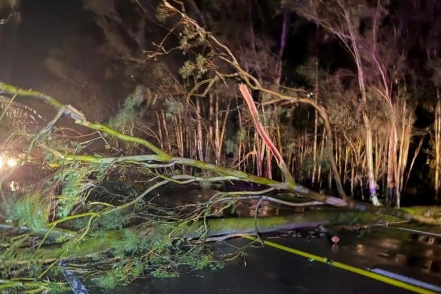 Una fuerte tormenta atravesó buena parte del interior de Uruguay Créditos: Policía Caminera
