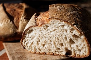 El equipo ya cuenta con aislamientos provenientes de masas madre de distintos panaderos artesanales de Santa Fe y actualmente realiza pruebas de combinaciones de bacterias y levaduras seleccionadas. Foto: Gentileza