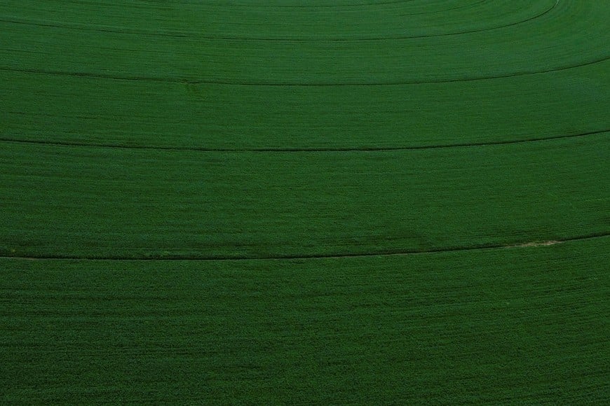 A drone view shows an area of alfalfa crops and other agricultural activities near the ancient oasis of Cuatro Cienagas, in Cuatro Cienegas, state of Coahuila, Mexico March 18, 2024. REUTERS/Daniel Becerril