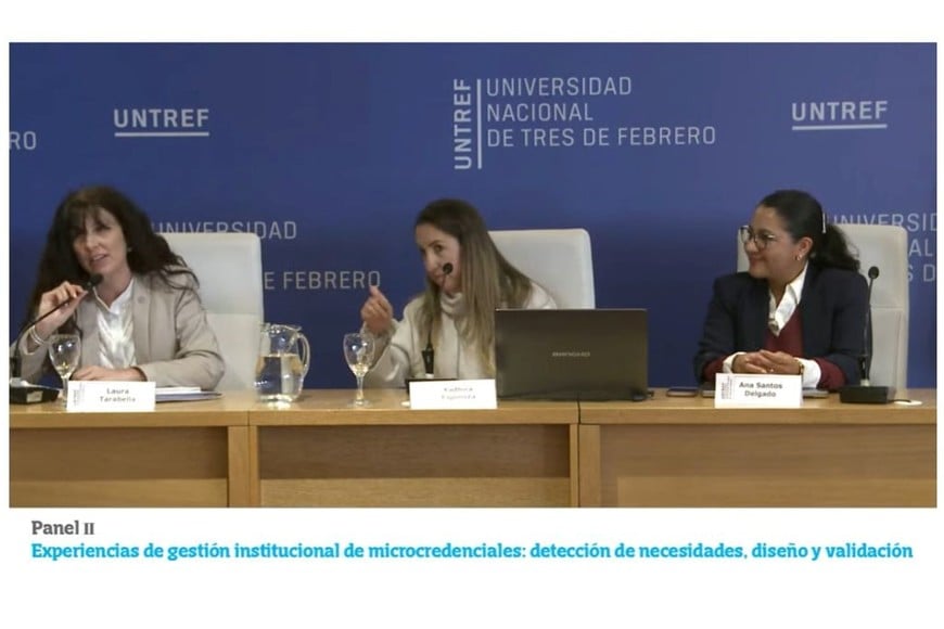 Laura Tarabella, rectora de UNL, participó del panel de este miércoles. Foto: (captura youtube)