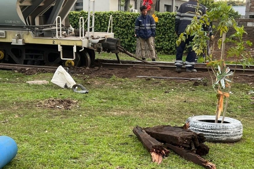 troncos descarrilamiento belgrano cargas