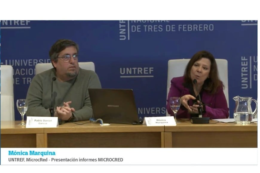 Mónica Marquina presentó los documentos de referencia en los que avanzó MicrocRed. Foto: (captura youtube)