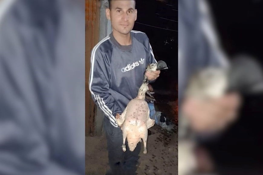 imbecil matanza de aves Laguna Setúbal