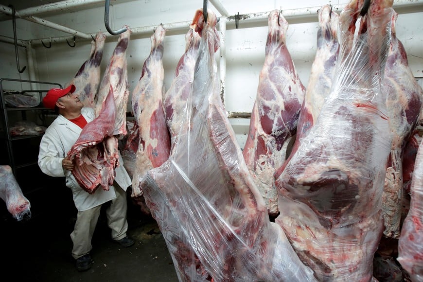 Pigs are pictured at a pig farm in Ciudad Juarez, Mexico, July 24, 2017. Picture taken July 24, 2017. REUTERS/Jose Luis Gonzalez mexico ciudad juarez mexico nota sobre el consumo de carne de cerdo carne porcina cerdos
