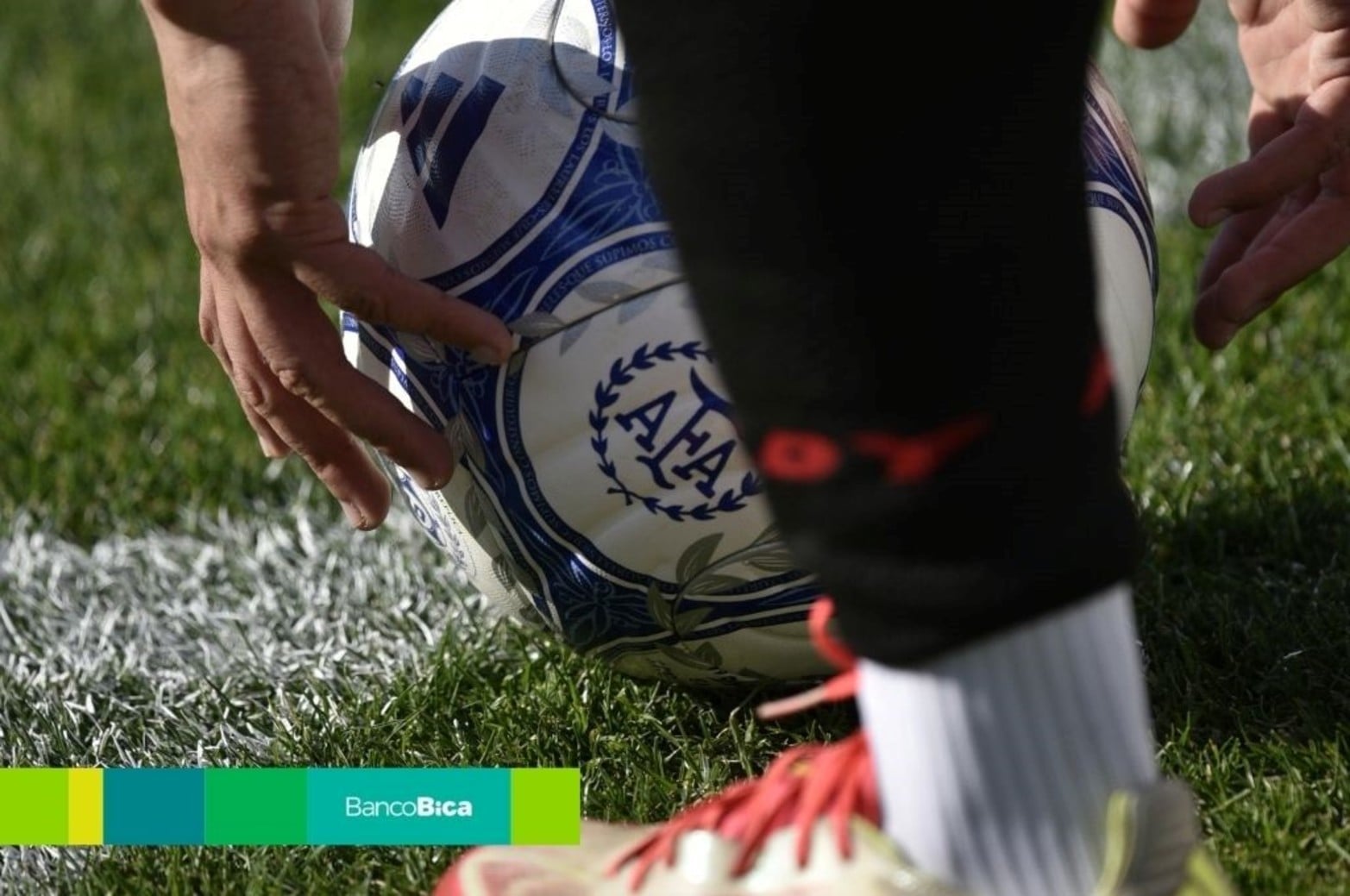 Galería Bica | Colón Vs. All Boys | Fecha 31 de la Primera Nacional. 